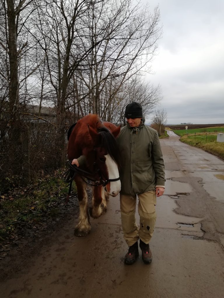 Gehen oder Kuscheln