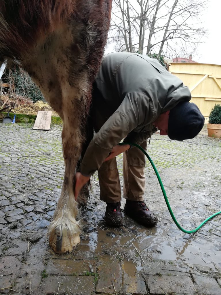 So viel Schlamm
